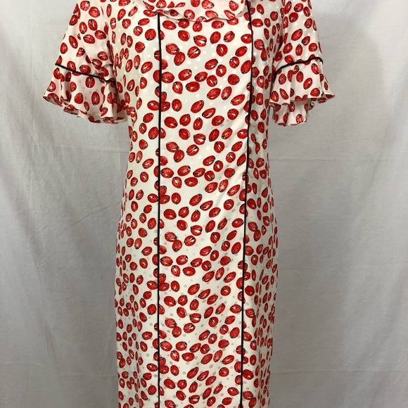 Silk Vintage Ladybug Dress - Picture 5 of 6